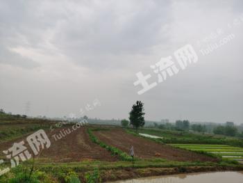 信阳光山县 25.16亩水田 经营权出租