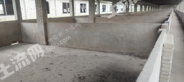 黄冈团风县 30亩 农场 使用权出租