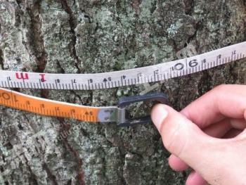 乐山峨边彝族自治县1822.91亩有林地 经营权转让