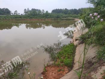 株洲攸县 11.39亩 坑塘 经营权出租