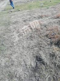 毕节织金县 2682.83亩 荒山 经营权出租