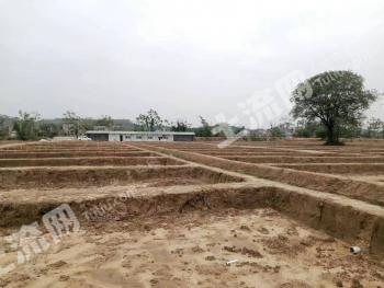 肇庆怀集县31.02亩有林地经营权出租