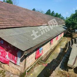 鹰潭余江区 60亩 人工牧草地 经营权出租