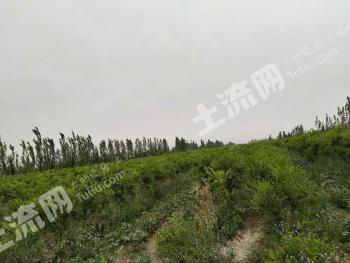 巴音郭楞尉犁县90亩水浇地经营权转让