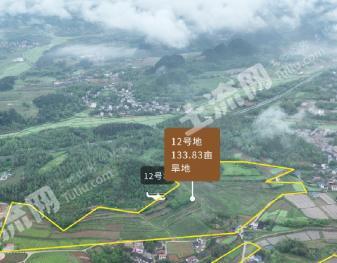 湘西花垣县012地块 133.83亩 旱地（“十八洞”品牌授权）  经营权出租