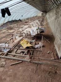 天津武清区 10亩 其它耕地（养花大棚）经营权 转包