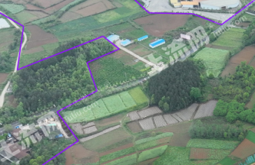 湘西花垣县 738.7亩 建设用地 使用权转让