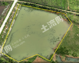 湘西花垣县 16.2亩 坑塘水面 经营权出租