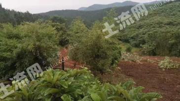 宜昌当阳市20亩其它耕地经营权转让