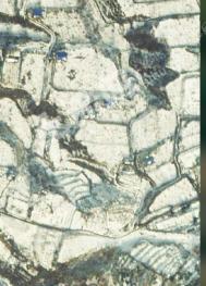 烟台芝罘区 2.27亩 旱地 经营权出租