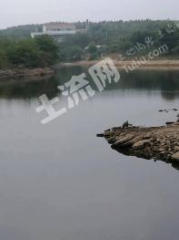 安徽滁州南谯区 110亩 有林地经营权 转让