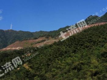 怀化洪江市 940.22亩 其它林地 经营权出租