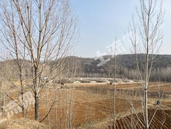 淄博沂源县26亩设施农用地经营权转让