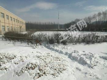 哈尔滨依兰县 18411平米 厂房 使用权转让