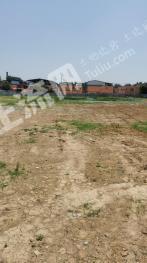 河南南阳 10亩 空闲用地 使用权出租