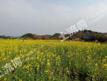 梧州万秀区 160亩 水浇地 经营权出租