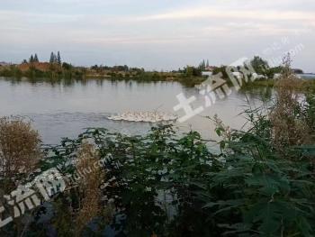 滁州南谯区 80亩 果园 经营权出租
