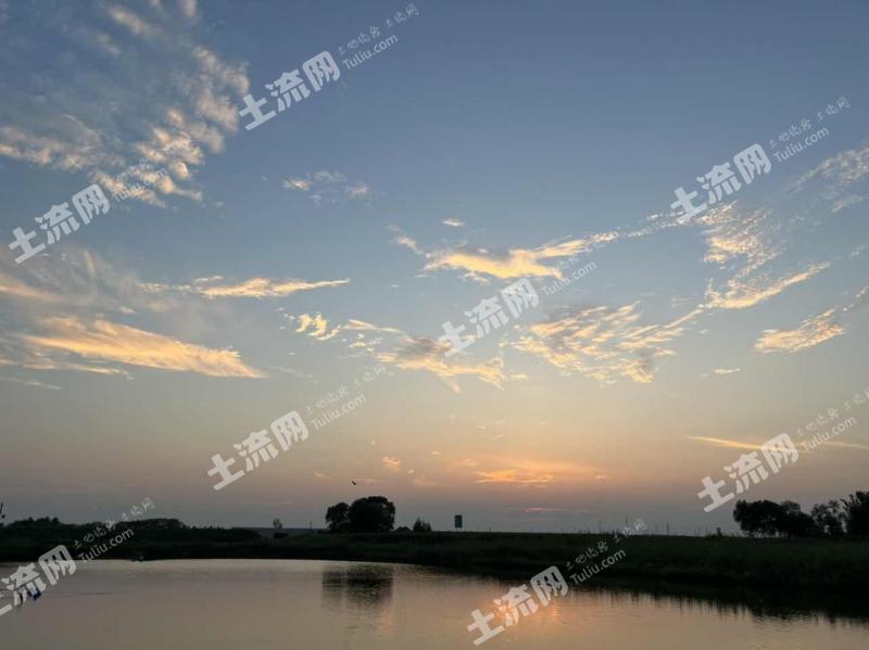 滨州博兴县 45亩 水产养殖用地 出租