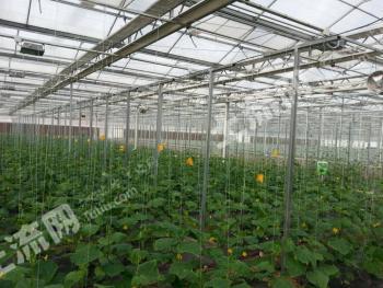 九江瑞昌市 79.29亩 旱地 经营权出租