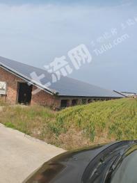 安阳内黄县 1331.72亩空闲用地 使用权出租