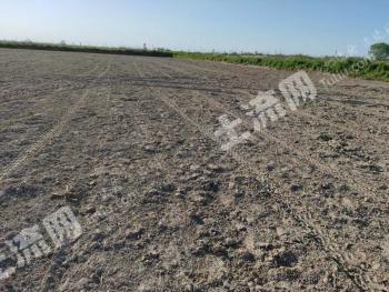 东营河口区 2000亩 旱地 经营权出租