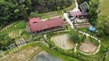 宜春宜丰县 33亩 农场 使用权出租