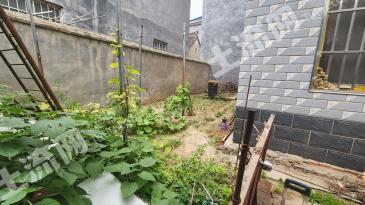 开封兰考县 377平米 农家庭院 使用权出租