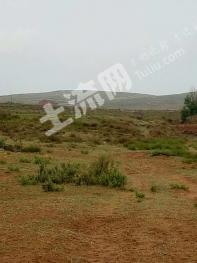 吉林磐石市 150亩 有林地 出租