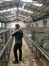 怒江泸水市108.38亩林地-有林地转让