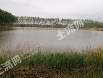 齐齐哈尔甘南县 150亩 农场 使用权转让