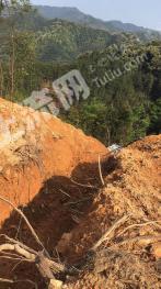 贺州昭平县150亩灌木林地经营权出租