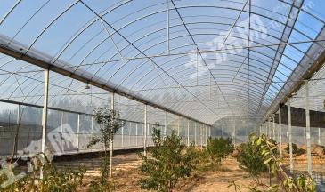 太原古交市 13亩 农场 使用权出租