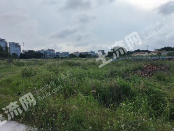 广东湛江湛江经济技术开发区15亩有林地经营权出租