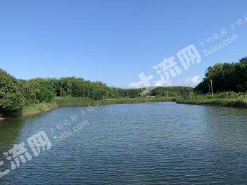 海南白沙黎族自治县 16亩 农场 使用权出租