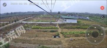 南京浦口区 400亩 乔木林地 经营权出租