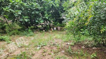 开封兰考县 168平米 城镇住宅用地 使用权出让