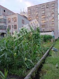 广东清远阳山县 200平米 农村宅基地 使用权合作