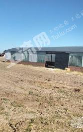 白城洮南市266亩综合养殖用地经营权转让