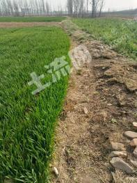 平顶山叶县 3.2亩畜牧养殖用地 经营权出租