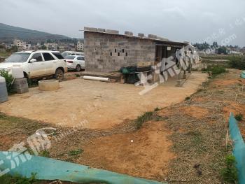 曲靖宣威市 50亩 坑塘水面 经营权转让