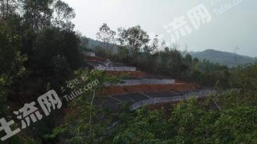 保山昌宁县 500亩 有林地 经营权转让