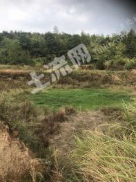 黄冈罗田县470亩林地-有林地经营权转让