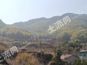 黄冈蕲春县 2572.18亩 乔木林地 经营权合作