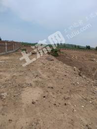 辽宁辽阳 65亩 畜牧养殖用地 转让