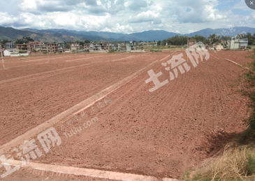 大理弥渡县 500亩水浇地 经营权出租