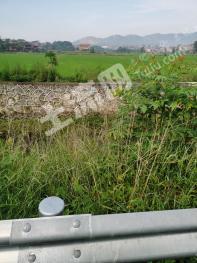 永州祁阳县 790亩 水田 经营权出租