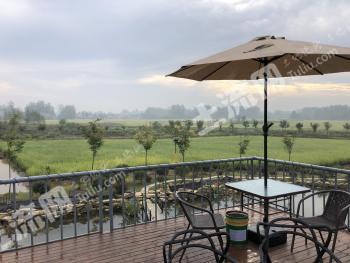 安徽六安裕安区 269.31亩 水田 经营权转让