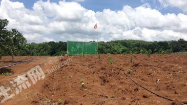 文昌市136.08亩旱地经营权转让