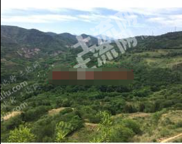 西安临潼区 500亩 乔木林地 经营权转让