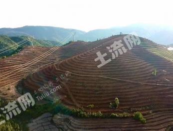 玉溪元江哈尼族彝族傣族自治县 250亩 旱地 经营权出租